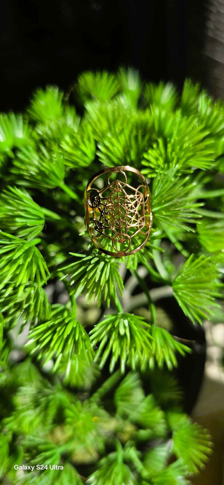 Anillo de Tetragramaton